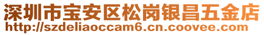 深圳市寶安區松崗銀昌五金店