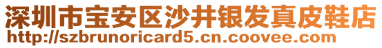 深圳市寶安區沙井銀發真皮鞋店