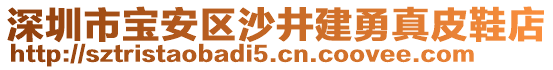 深圳市寶安區(qū)沙井建勇真皮鞋店