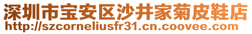 深圳市寶安區沙井家菊皮鞋店
