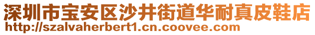 深圳市寶安區(qū)沙井街道華耐真皮鞋店