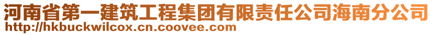 河南省第一建筑工程集团有限责任公司海南分公司