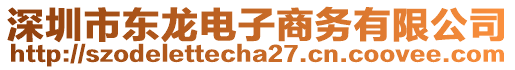 深圳市東龍電子商務(wù)有限公司