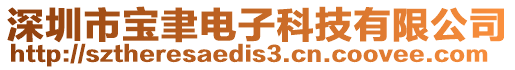 深圳市寶聿電子科技有限公司