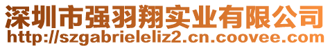 深圳市強(qiáng)羽翔實業(yè)有限公司