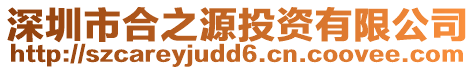 深圳市合之源投資有限公司