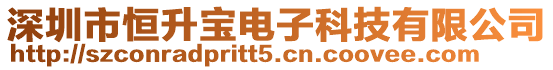 深圳市恒升寶電子科技有限公司