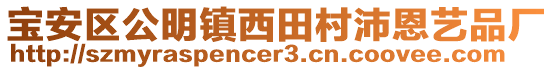 寶安區公明鎮西田村沛恩藝品廠