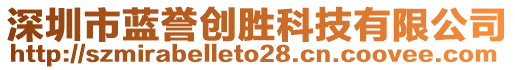 深圳市藍(lán)譽(yù)創(chuàng)勝科技有限公司