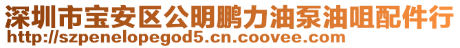 深圳市寶安區(qū)公明鵬力油泵油咀配件行