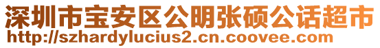 深圳市寶安區(qū)公明張碩公話超市