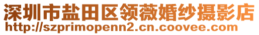 深圳市鹽田區(qū)領(lǐng)薇婚紗攝影店