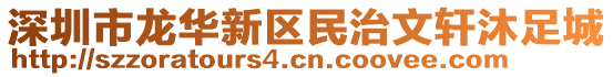 深圳市龍華新區(qū)民治文軒沐足城