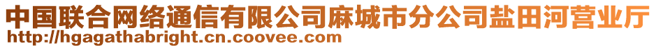 中國聯(lián)合網(wǎng)絡(luò)通信有限公司麻城市分公司鹽田河營業(yè)廳