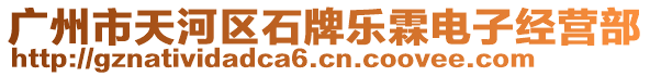 廣州市天河區(qū)石牌樂霖電子經(jīng)營(yíng)部