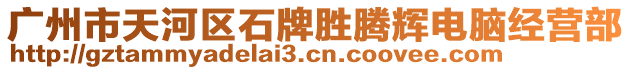 廣州市天河區(qū)石牌勝騰輝電腦經(jīng)營部