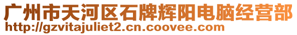 廣州市天河區(qū)石牌輝陽電腦經(jīng)營部