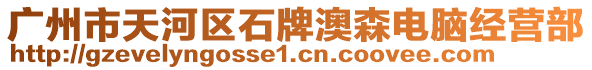 廣州市天河區(qū)石牌澳森電腦經(jīng)營(yíng)部