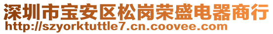 深圳市寶安區松崗榮盛電器商行