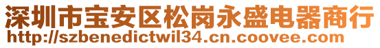 深圳市寶安區松崗永盛電器商行