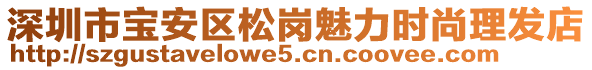 深圳市寶安區松崗魅力時尚理發店