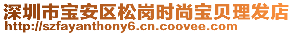 深圳市寶安區松崗時尚寶貝理發店