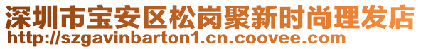深圳市寶安區松崗聚新時尚理發店
