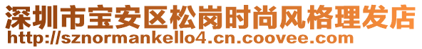 深圳市寶安區(qū)松崗時尚風(fēng)格理發(fā)店