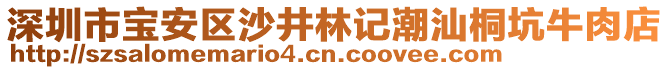 深圳市寶安區(qū)沙井林記潮汕桐坑牛肉店