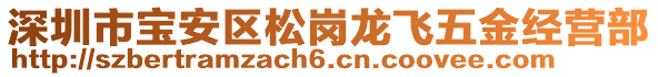 深圳市寶安區松崗龍飛五金經營部