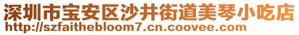 深圳市寶安區(qū)沙井街道美琴小吃店