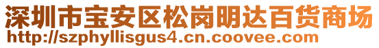 深圳市寶安區(qū)松崗明達(dá)百貨商場