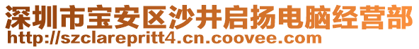 深圳市寶安區(qū)沙井啟揚(yáng)電腦經(jīng)營部