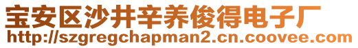 寶安區沙井辛養俊得電子廠