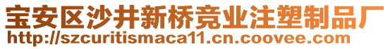寶安區(qū)沙井新橋競業(yè)注塑制品廠