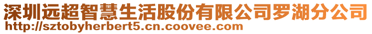 深圳遠(yuǎn)超智慧生活股份有限公司羅湖分公司