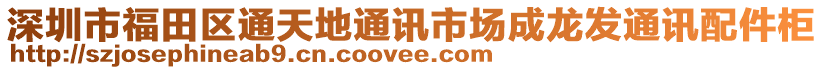 深圳市福田區(qū)通天地通訊市場成龍發(fā)通訊配件柜