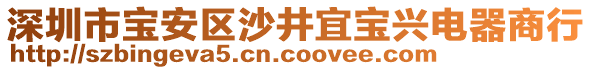 深圳市寶安區(qū)沙井宜寶興電器商行