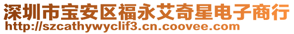 深圳市寶安區(qū)福永艾奇星電子商行