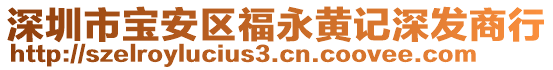 深圳市寶安區(qū)福永黃記深發(fā)商行