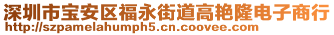 深圳市寶安區福永街道高艷隆電子商行
