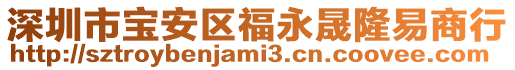 深圳市寶安區福永晟隆易商行