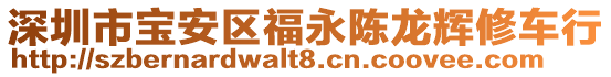 深圳市寶安區福永陳龍輝修車行