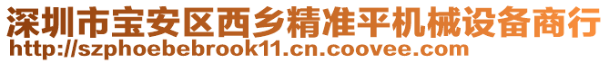 深圳市寶安區(qū)西鄉(xiāng)精準(zhǔn)平機(jī)械設(shè)備商行