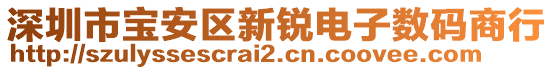 深圳市寶安區(qū)新銳電子數(shù)碼商行