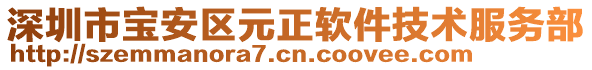 深圳市寶安區(qū)元正軟件技術服務部