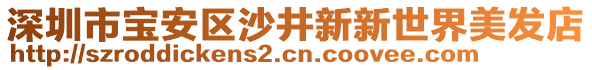 深圳市寶安區(qū)沙井新新世界美發(fā)店