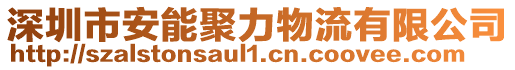 深圳市安能聚力物流有限公司