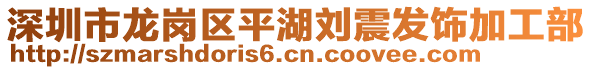 深圳市龙岗区平湖刘震发饰加工部