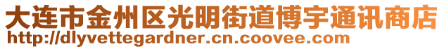 大連市金州區(qū)光明街道博宇通訊商店